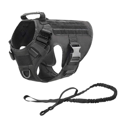 Zwart tactical hondentuig met MOLLE-paneel en bijpassende bungee riem van ReconPaws