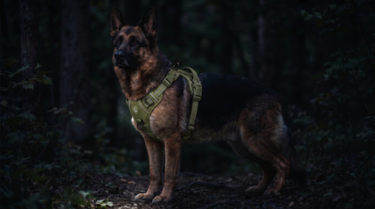 ReconPaws Control Tuig – Tactical