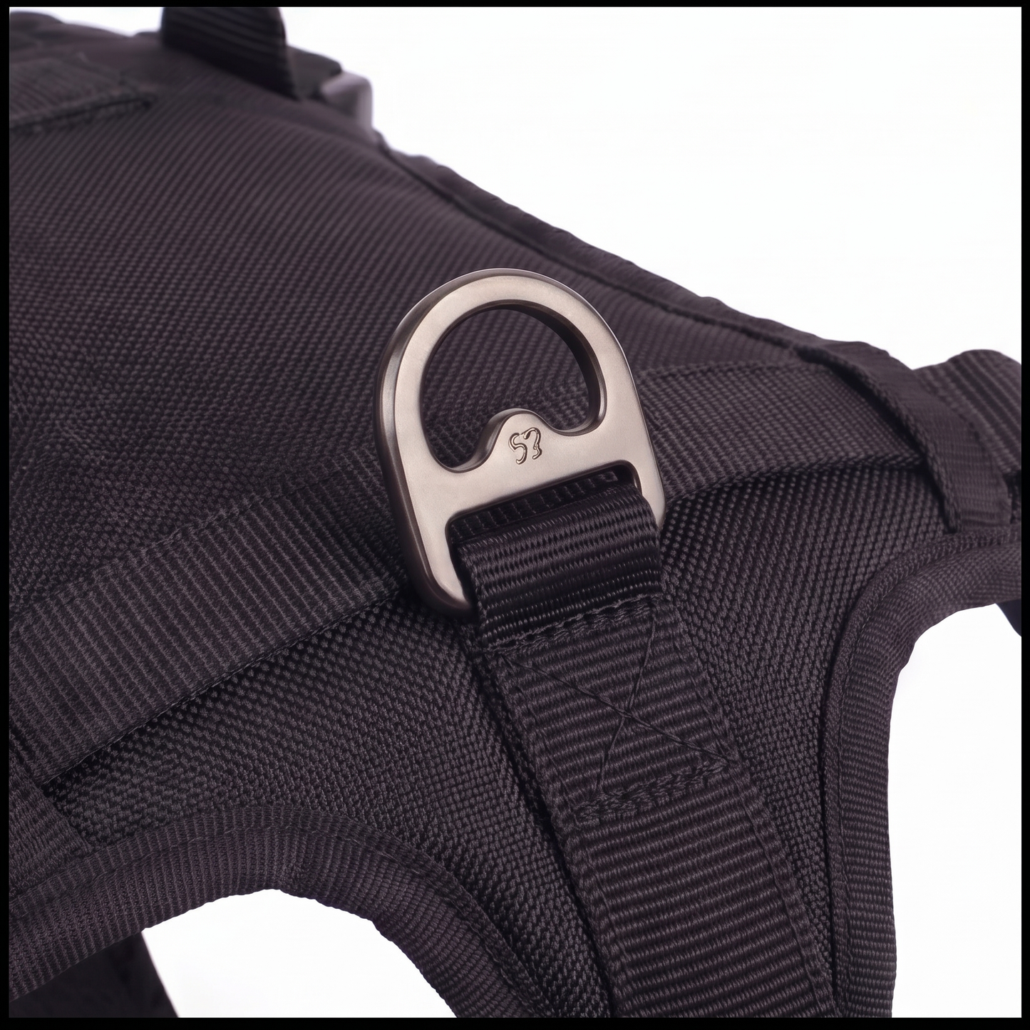 ReconPaws Control Tuig – Classic