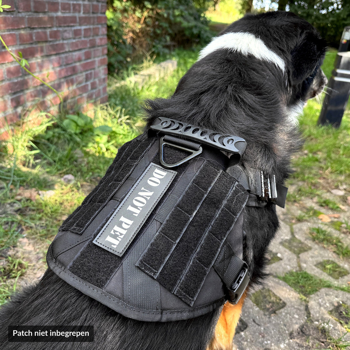 MOLLE-klittenbandpaneel op de rug van het tuig met handgreep en bevestigingsring