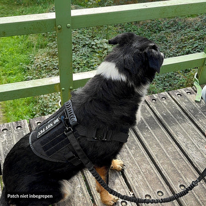 Hond met zwart tactical tuig en bungee riem zit op een houten steiger