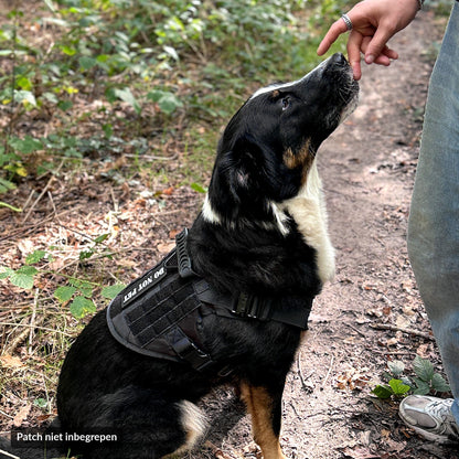 Hond met zwart tactical tuig kijkt omhoog tijdens een wandeling in het bos